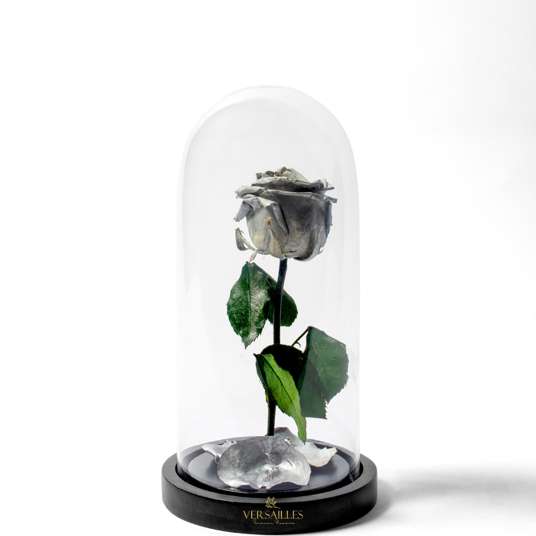 Forever Love SR (DM-07)