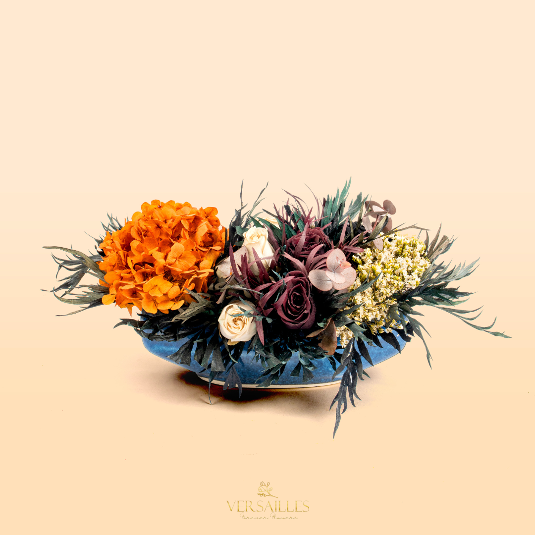 Sunkissed Bloom (ARV -11)