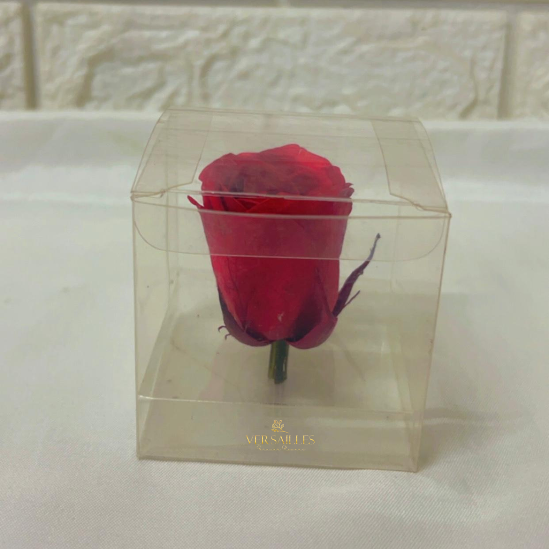 Forever bloom (PVC-01)