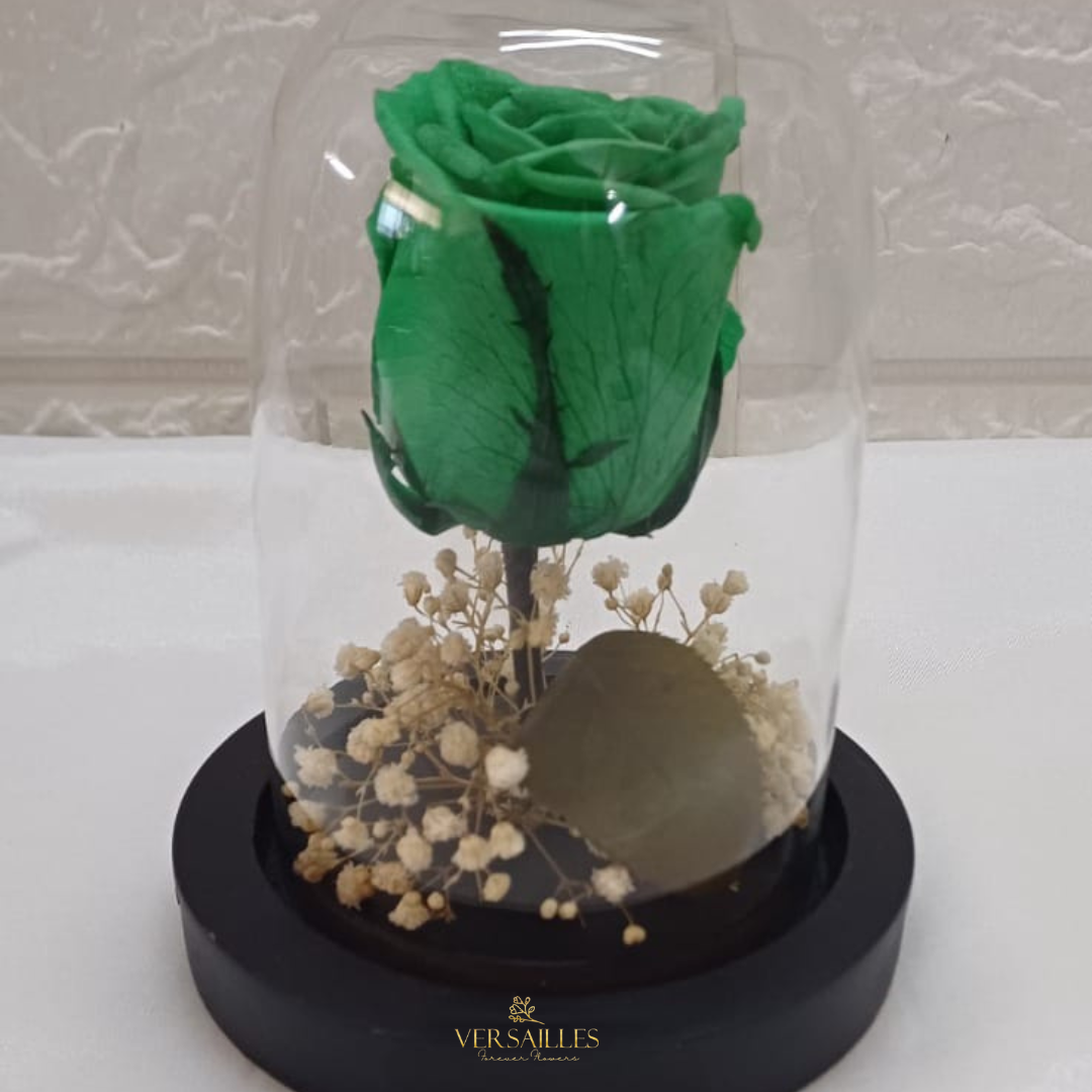 Forever Love (DS-43)