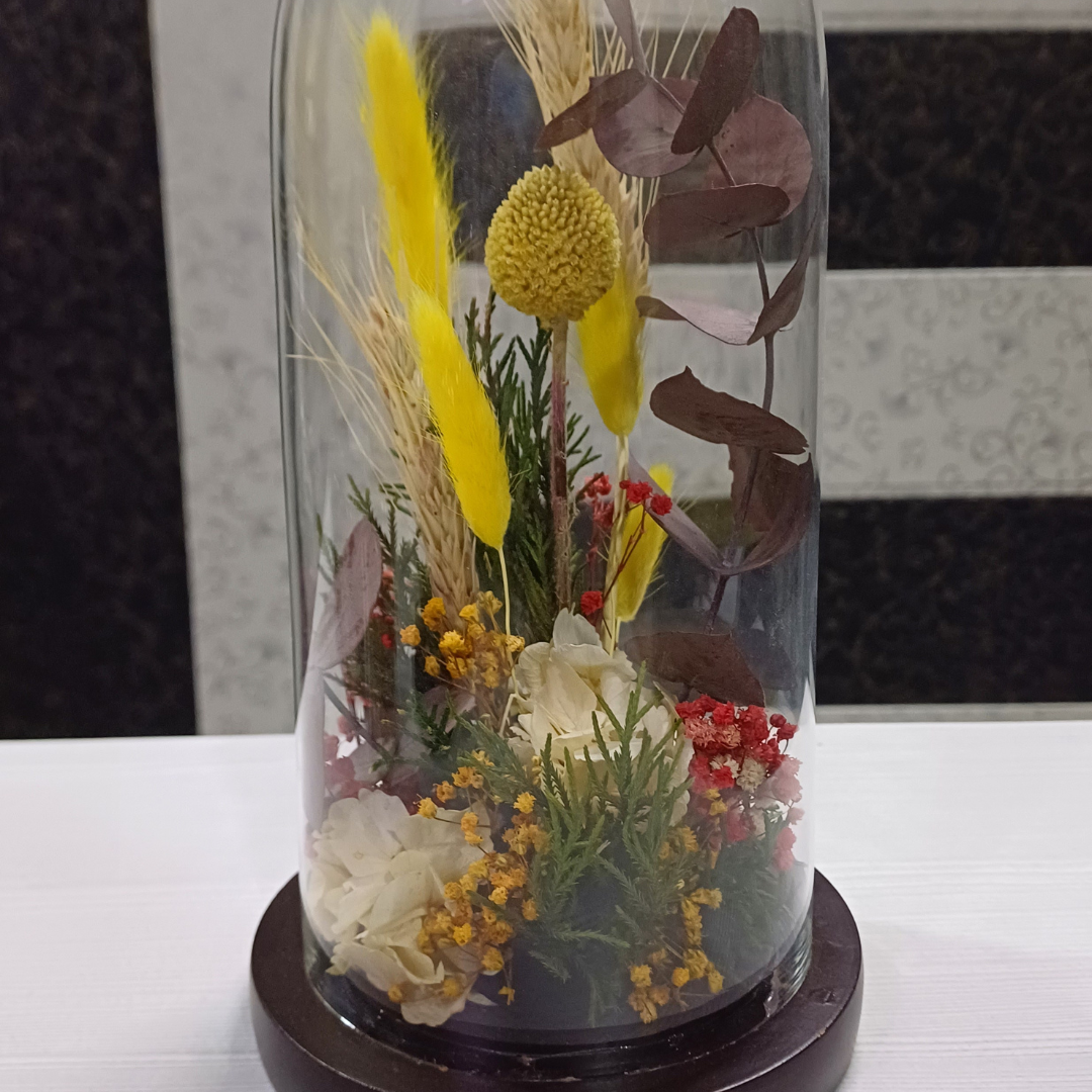 Nature's Harmony (DM-26)