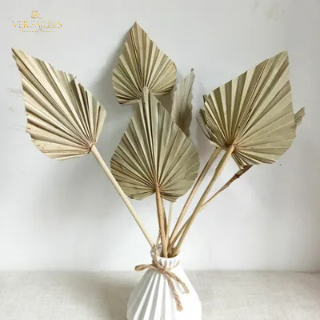 Taal Palm Dry (FD-08)