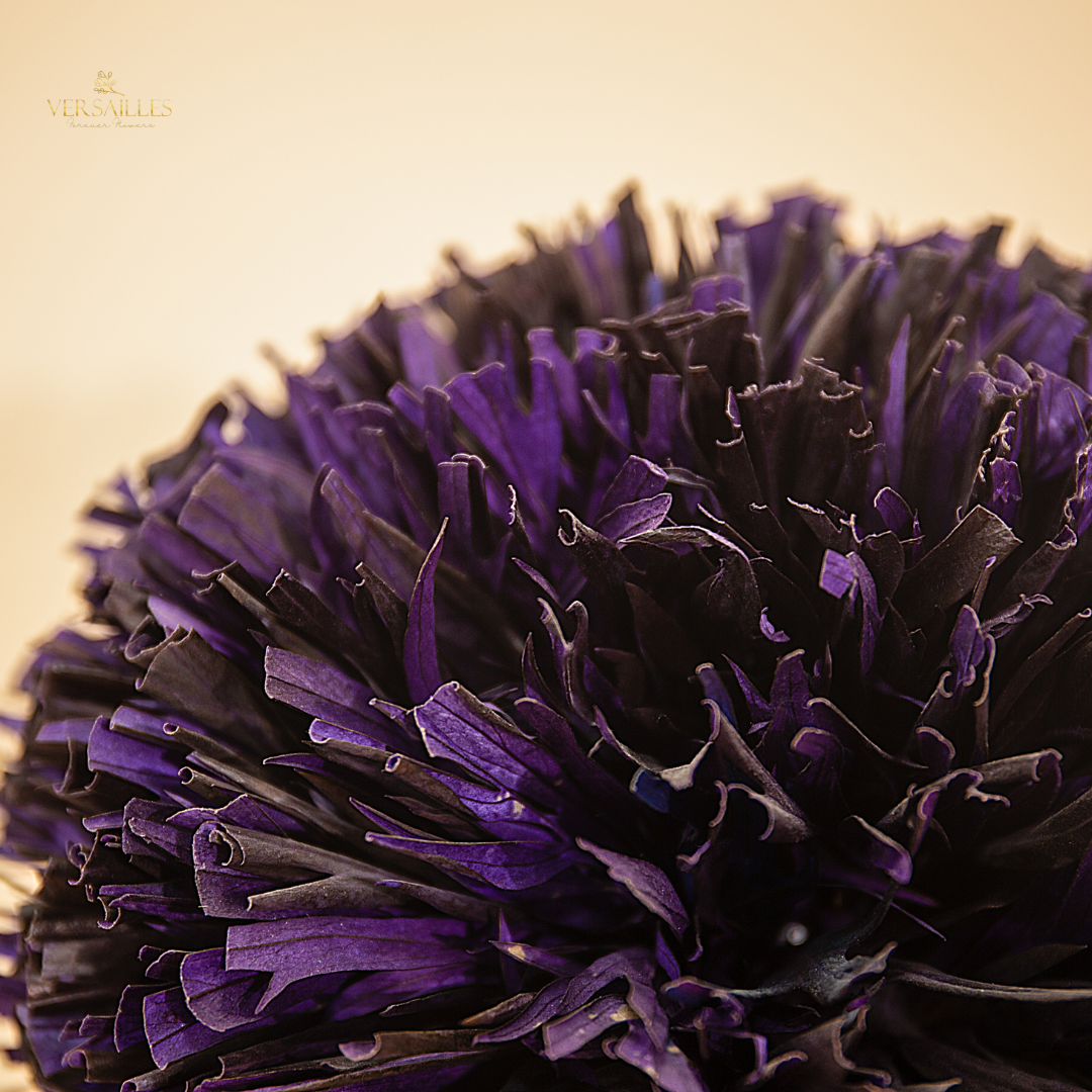 Lusty Lavender (ARV-09)