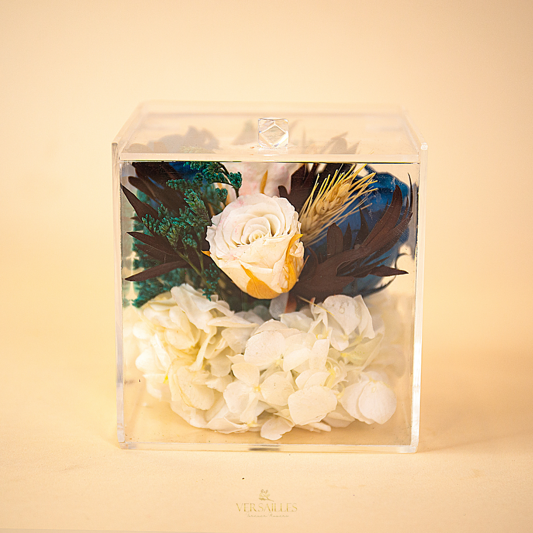 Bleu en Blanc (AR-11)