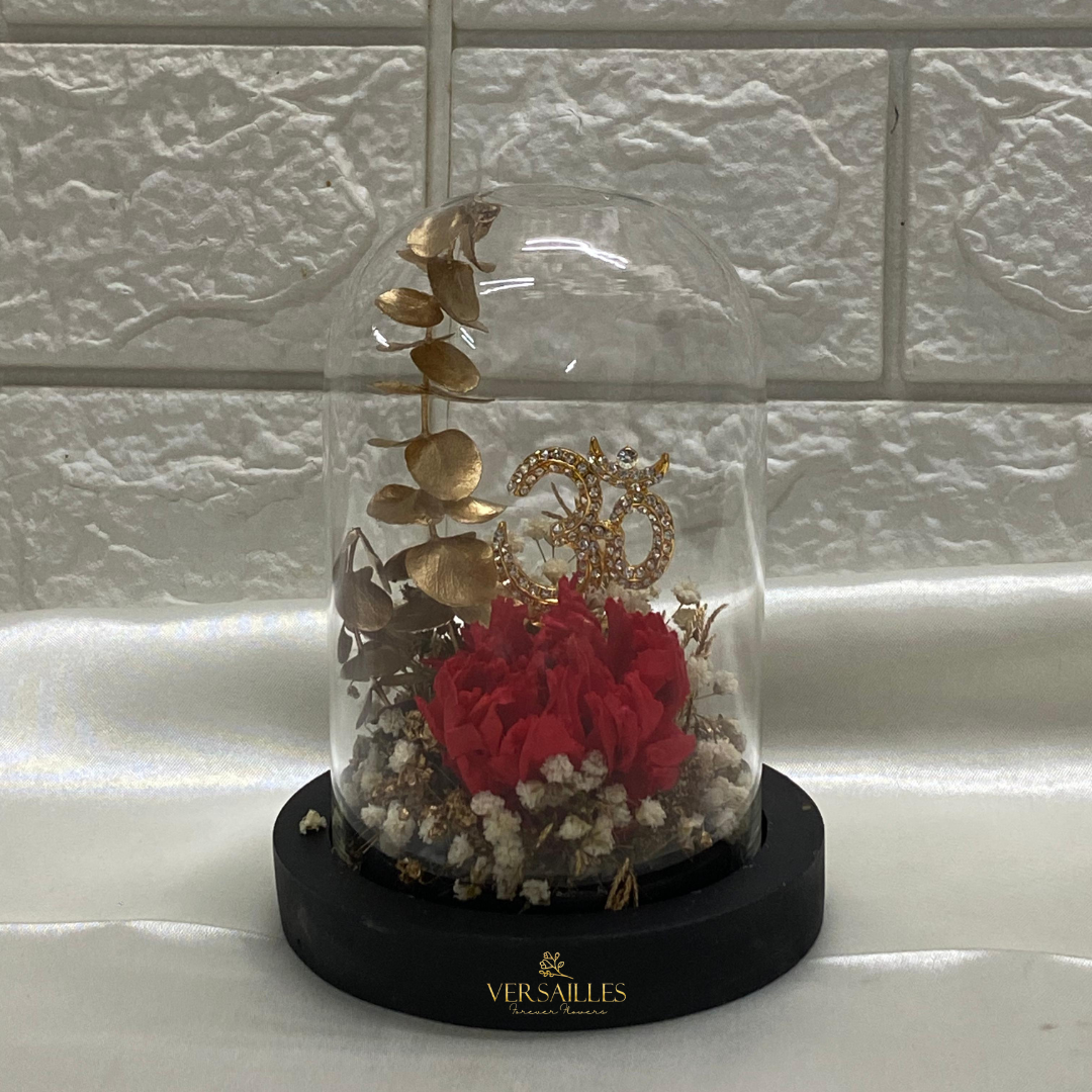 Holy Radiance of the Sacred Om (DS_Dv-14)