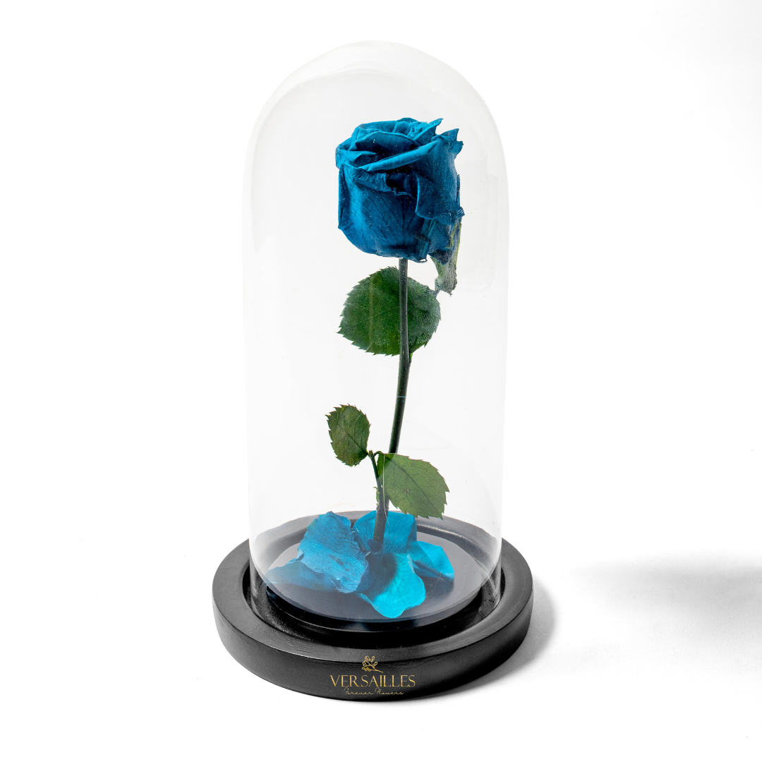 Forever Love TBR (DM-13)