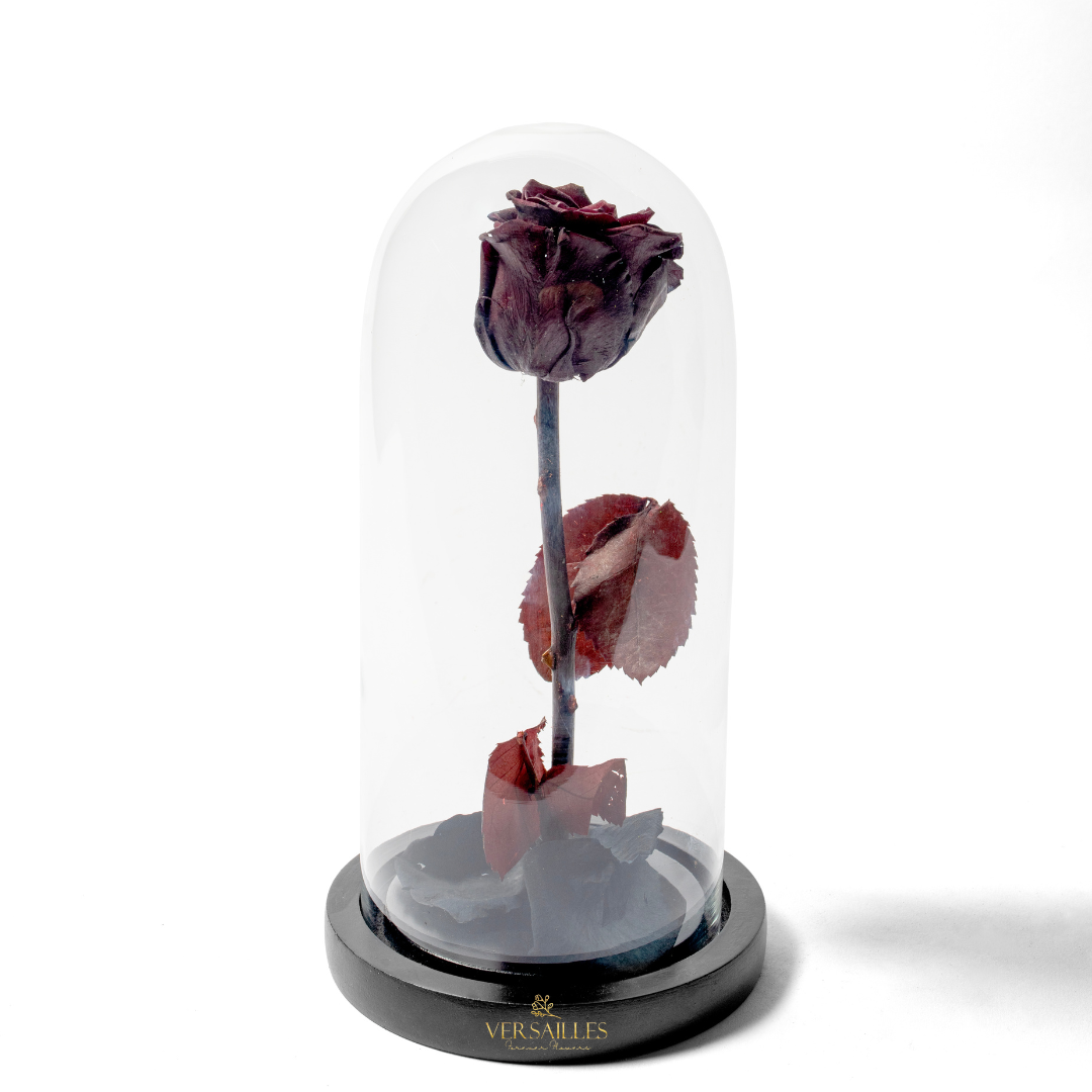 Forever Love BR (DM-11)