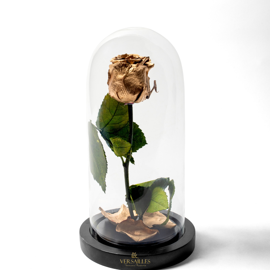 Forever Love GR (DM-08)