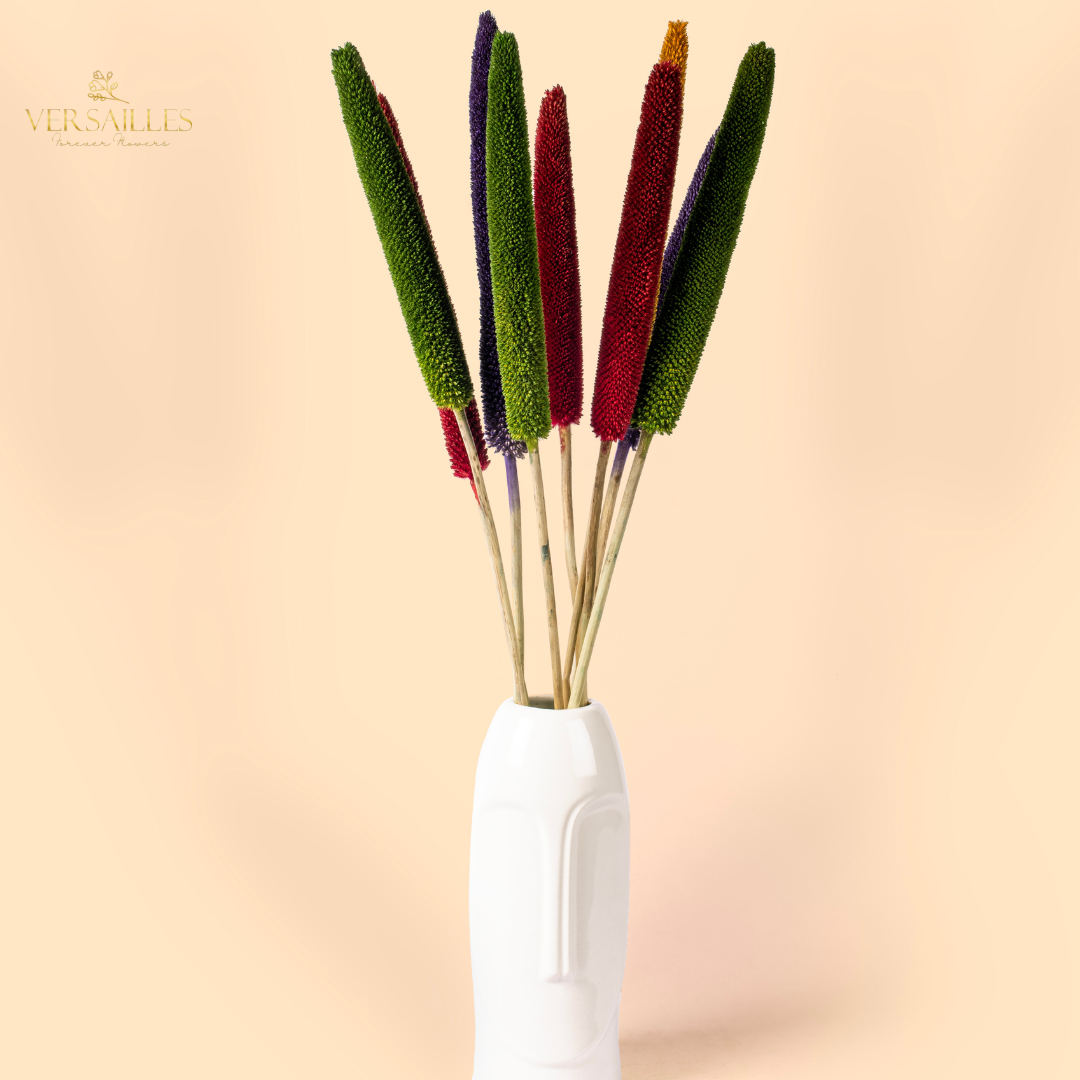 Millet Sticks (FD-06)