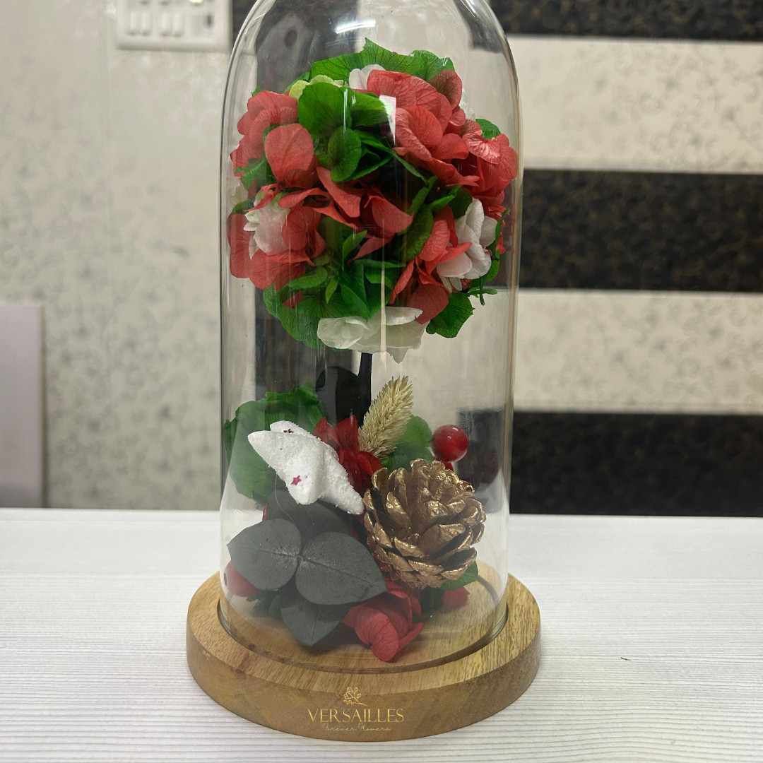 Christmas Carnival (DM-43)