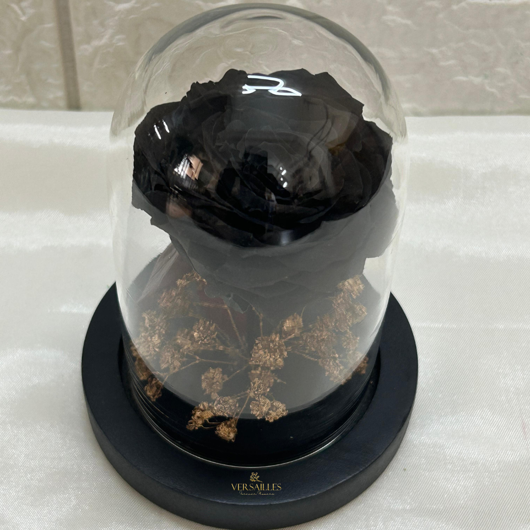 Mystic Black (DS-23)