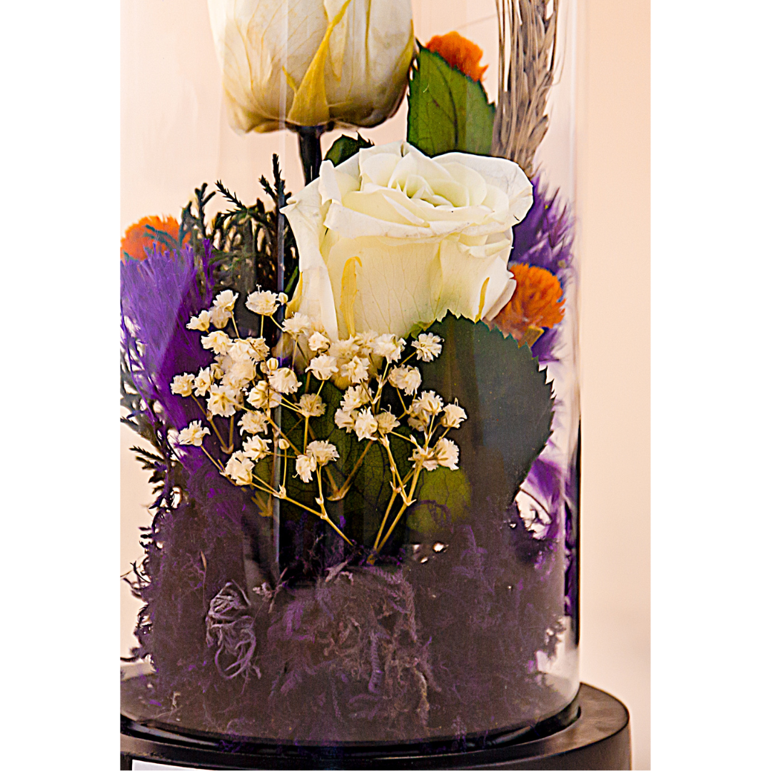 Lasting Love (DM-03)