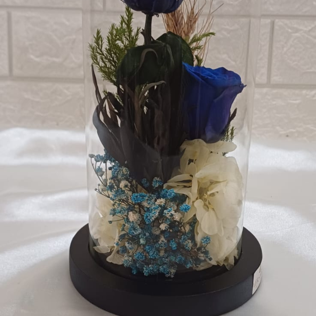 Radiance Blue (DM-33)