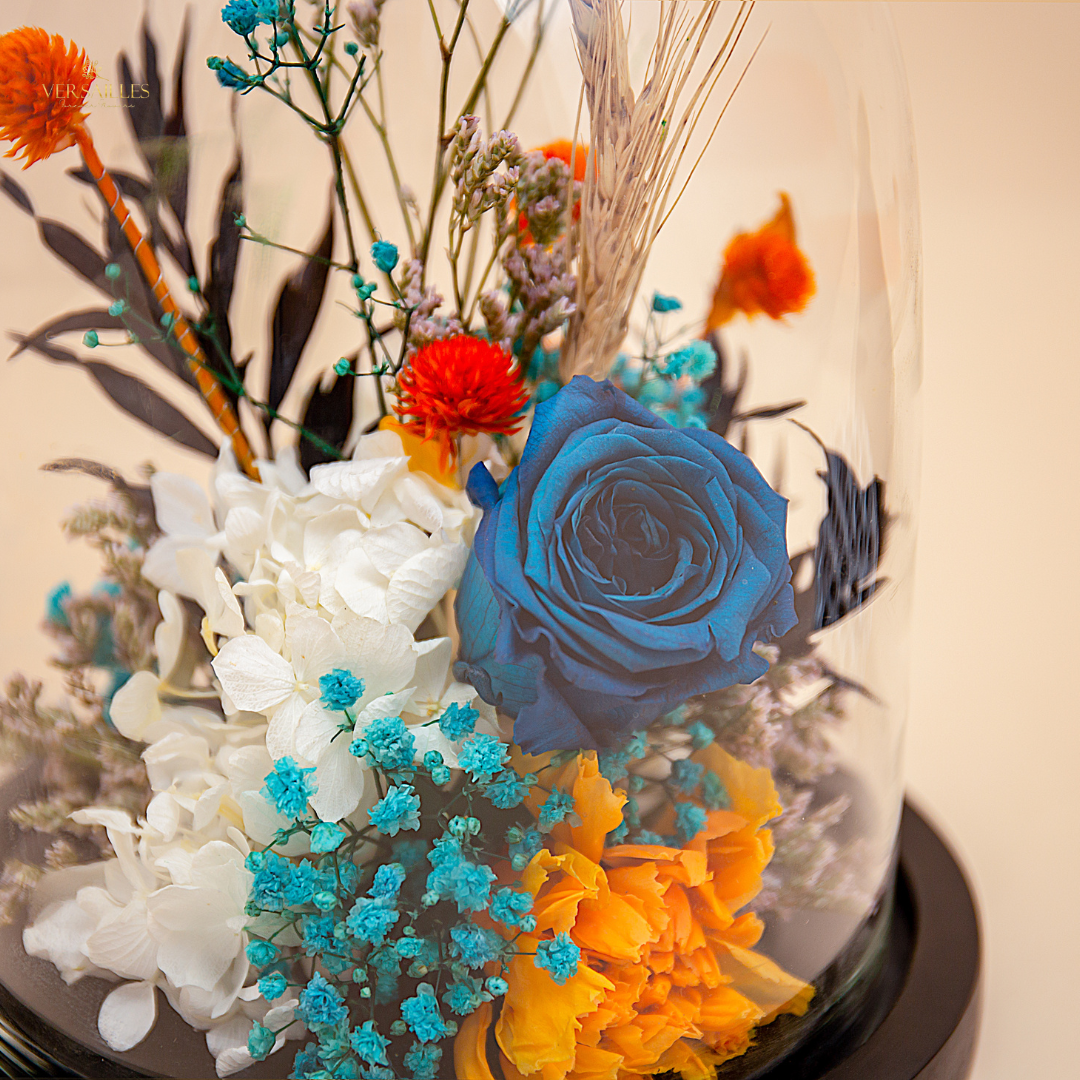 Bundle of Joy (DL-06)