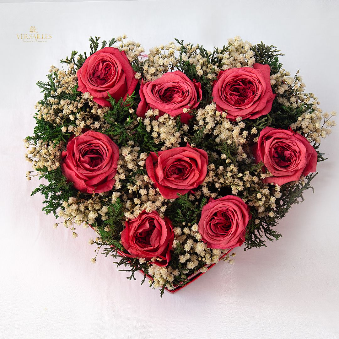 Cleopetra's Dream (ARB-04)