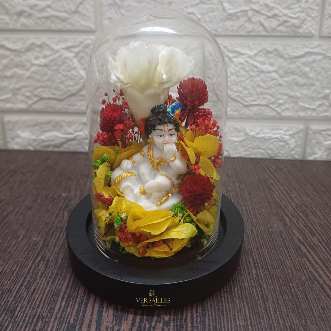 Divine Gopala (DS_Dv-03)