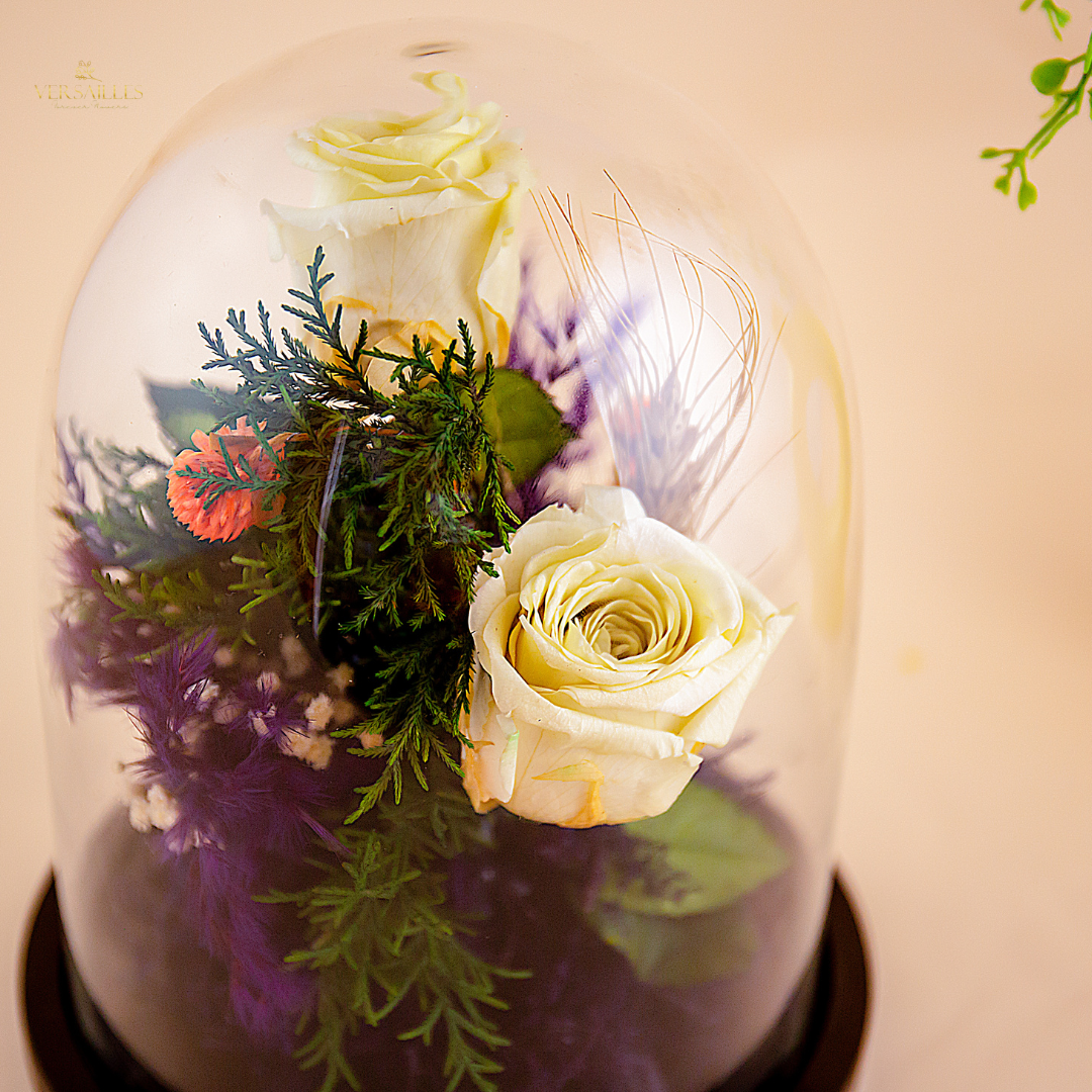 Royal Whisper (DL-08)