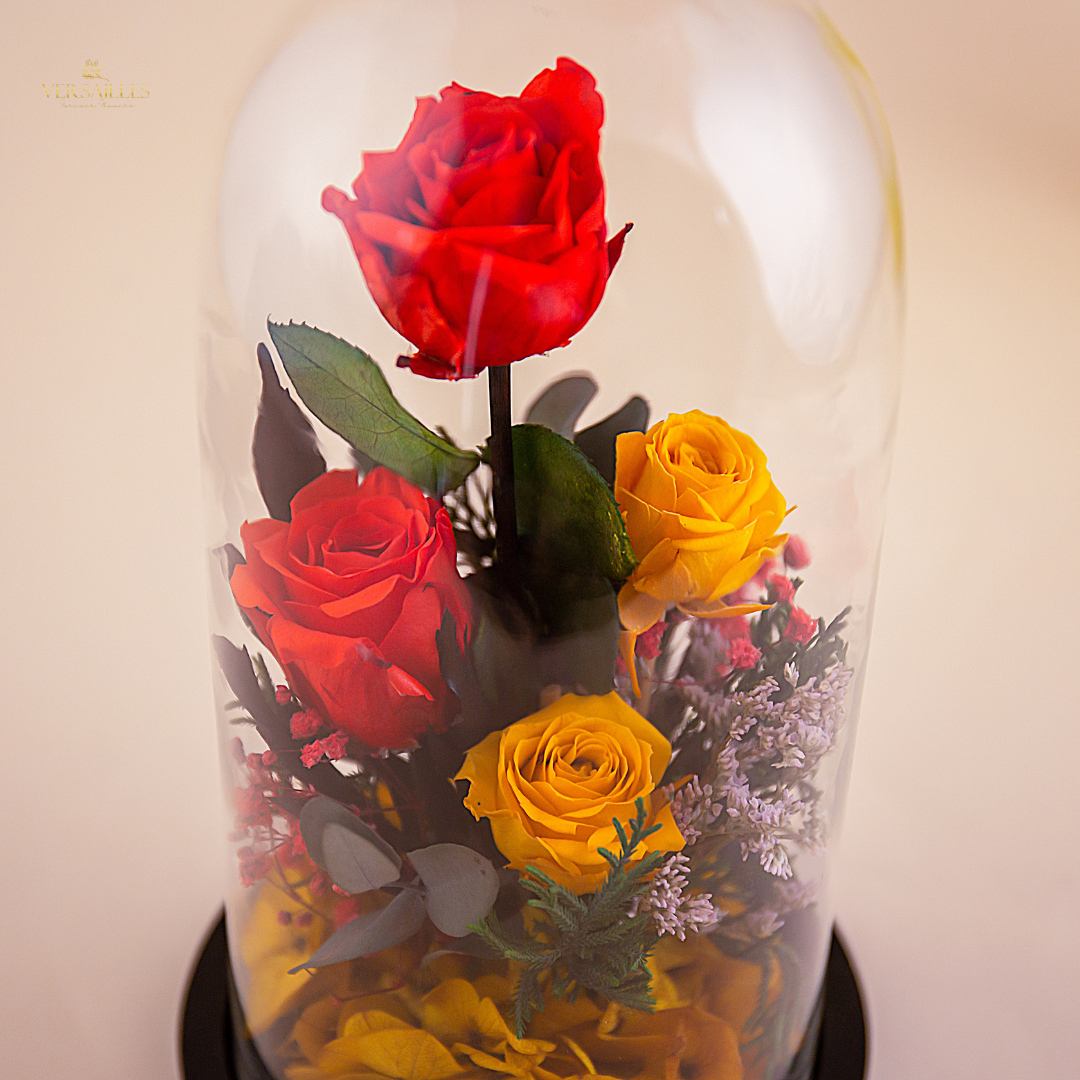 Blossom of Joy (DM-18)