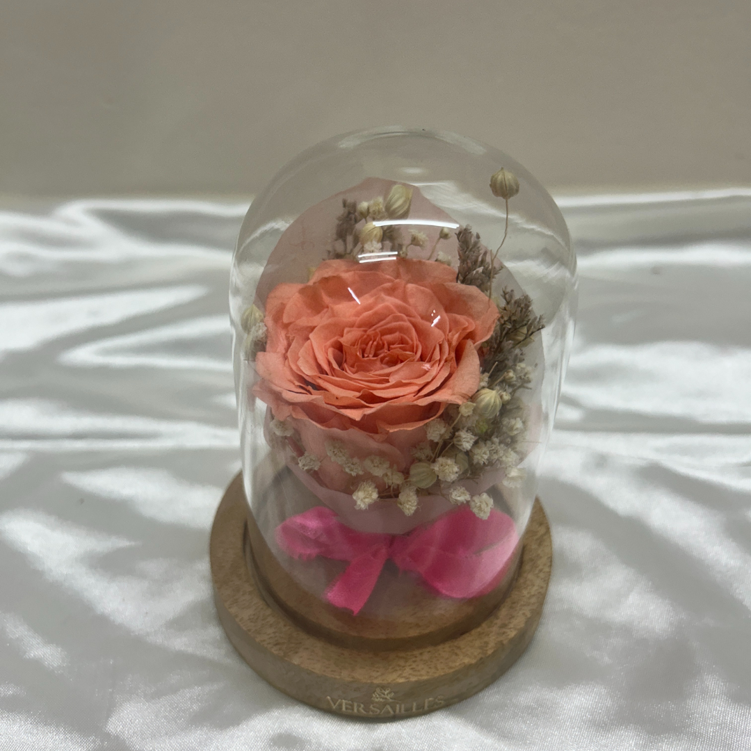 Peach Maniac (DS-32)