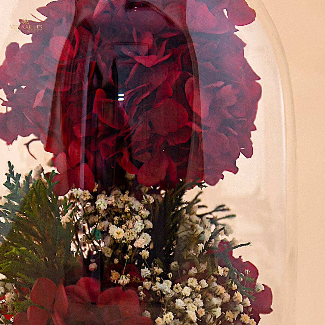 Grande Lounge (DL-09)