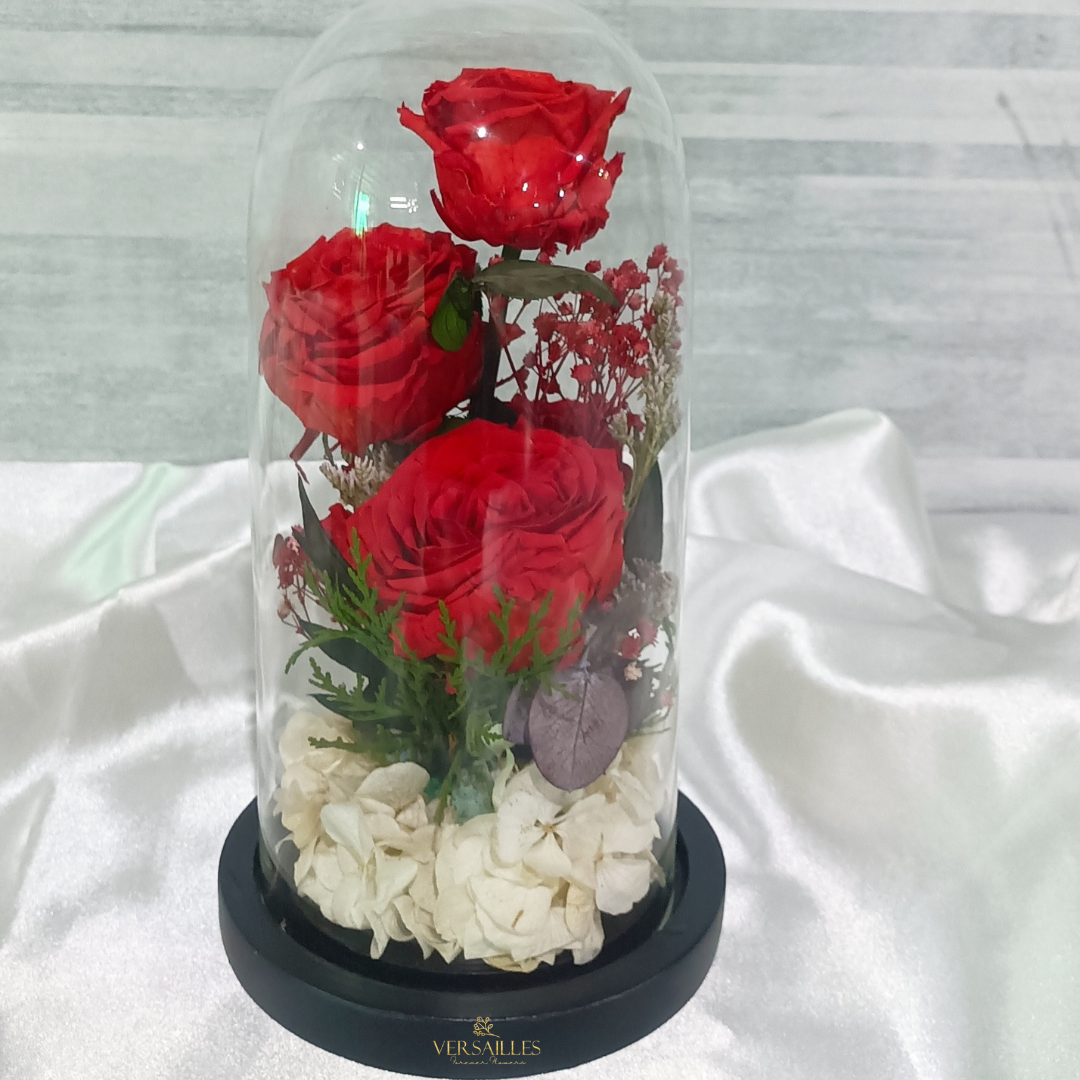 Stunning Ruby (DM-20)