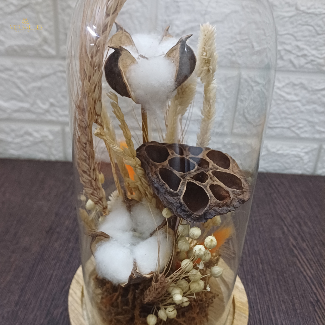 Celestial Aura (DM-17)