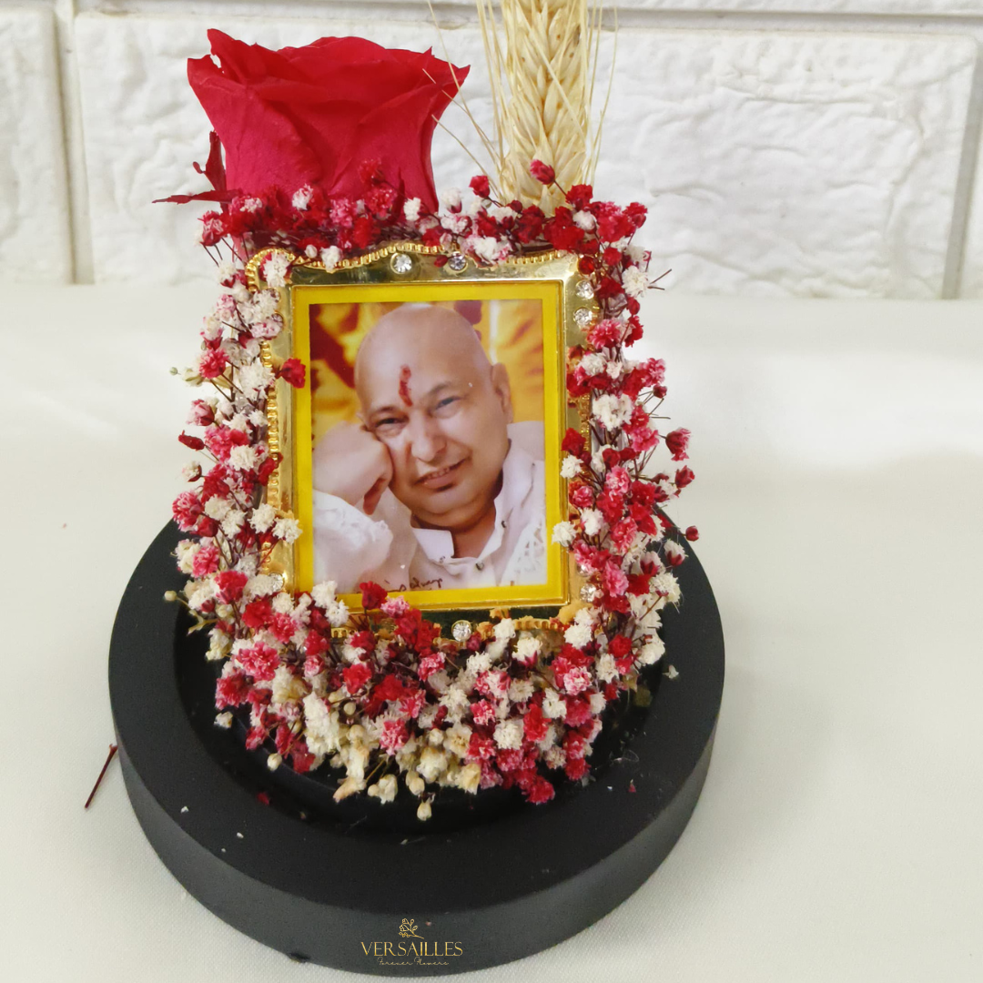 Angelic Pressence of The Guruji (Ds_Dv-18)