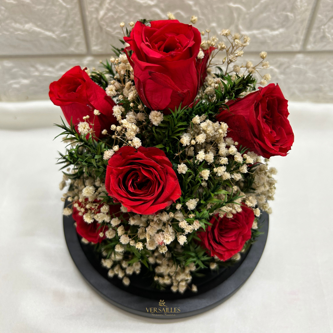 Valentine Crush (DL-17)