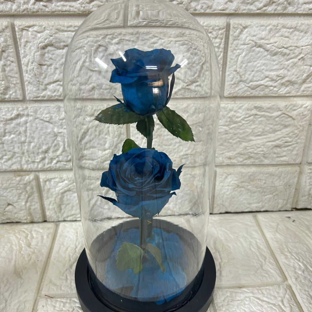 Forever Love Twin Blue (DM-46)