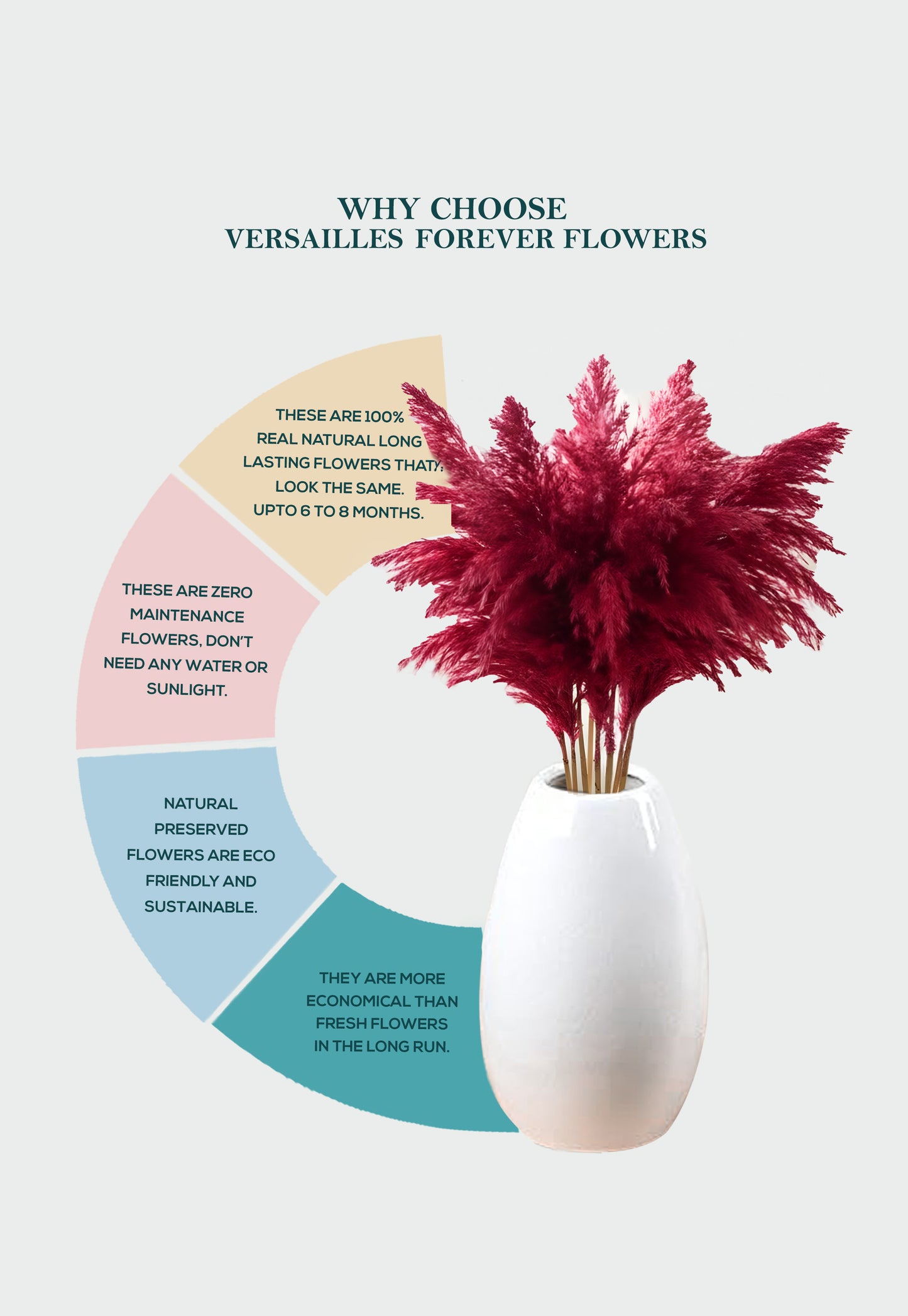Red Pampas (FD-05)