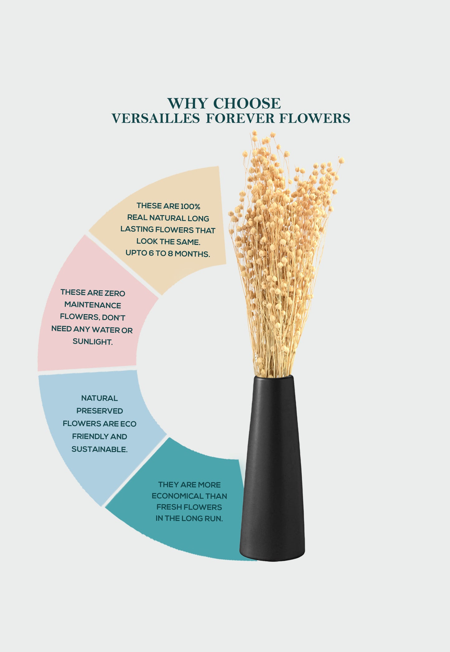 Natural Tishi Grass (FD-02)