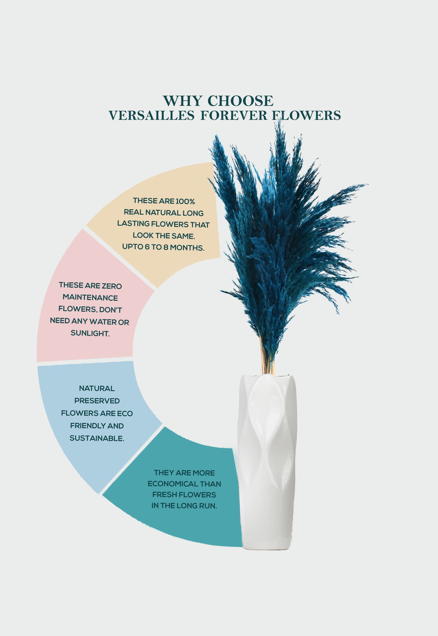 Blue Pampas (FD-05)