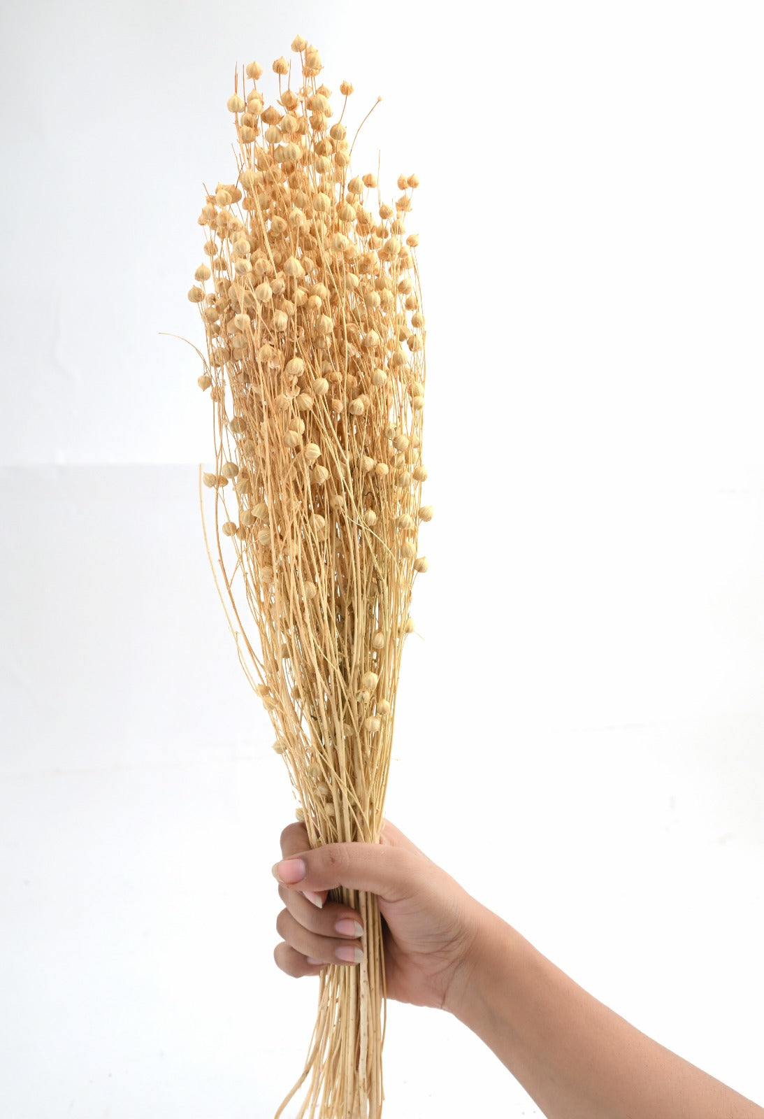 Natural Tishi Grass (FD-02)