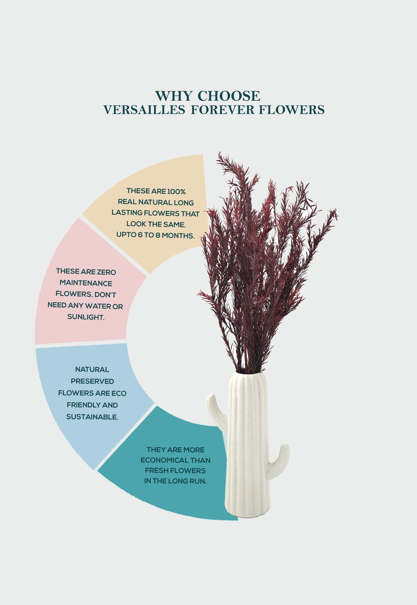 Bottle Brush (FS-08)