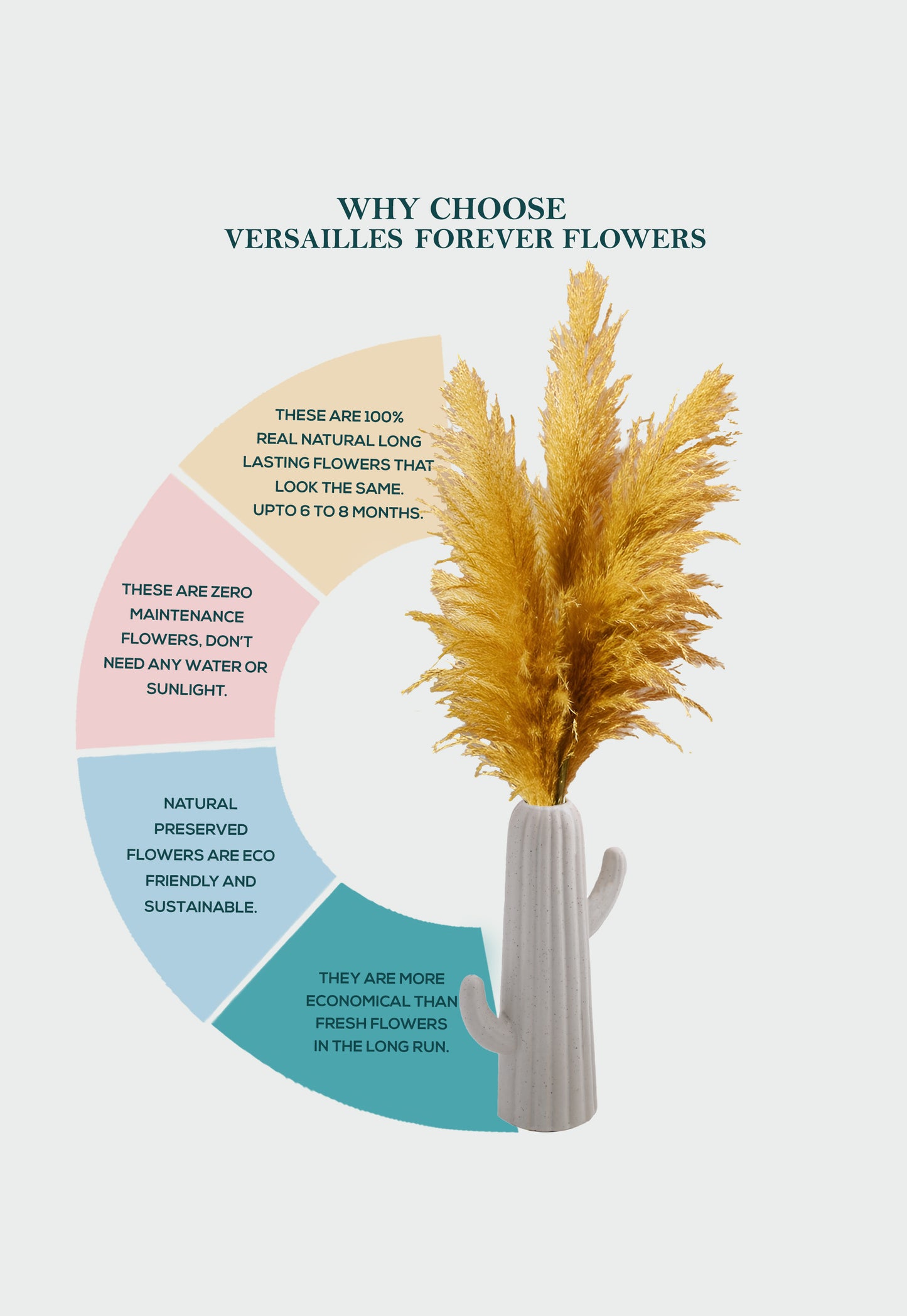 Yellow Pampas (FD-05)