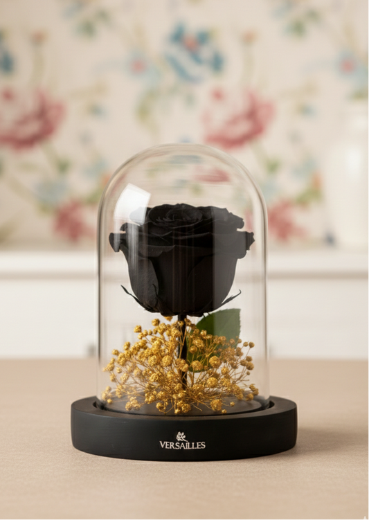 Black Rose with Golden Gypso in Black Base