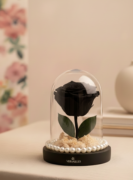 Black Rose White gypso