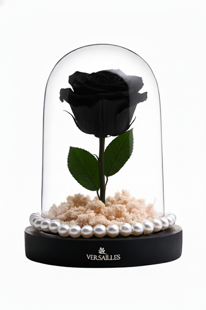 Black Rose White gypso white Beads