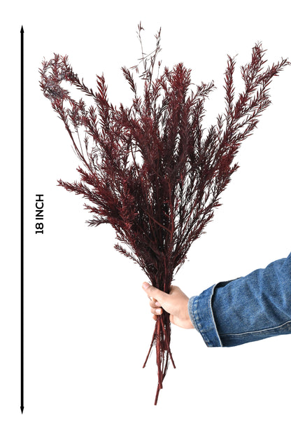 Bottle Brush (FS-08)