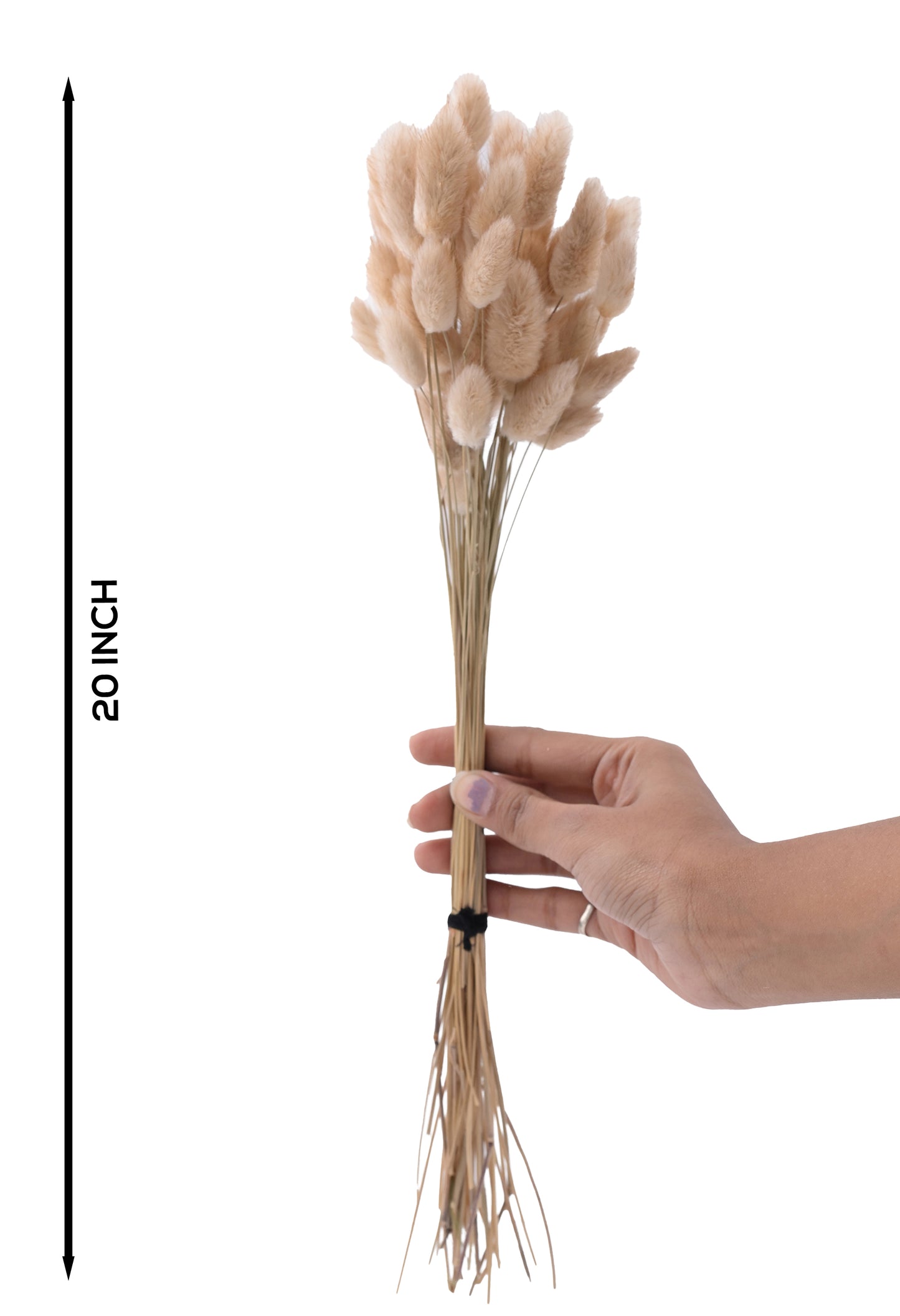 Bunny Tail Dry Natural (FD-01)