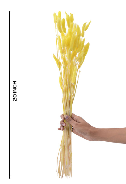 Bunny Tail Dry Yellow (FD-01)