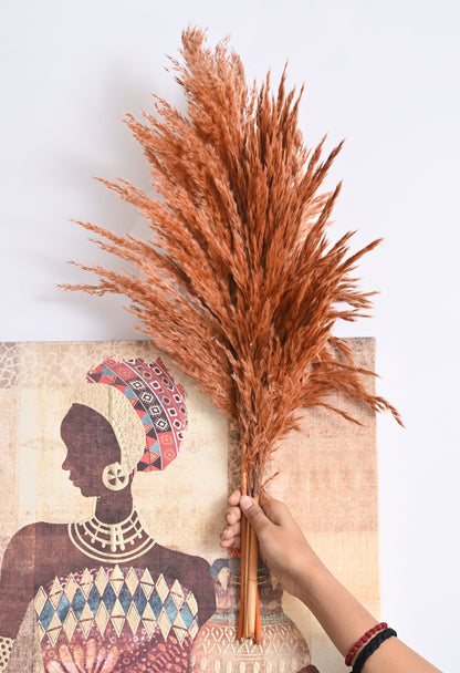 Brown Pampas (FD-05)