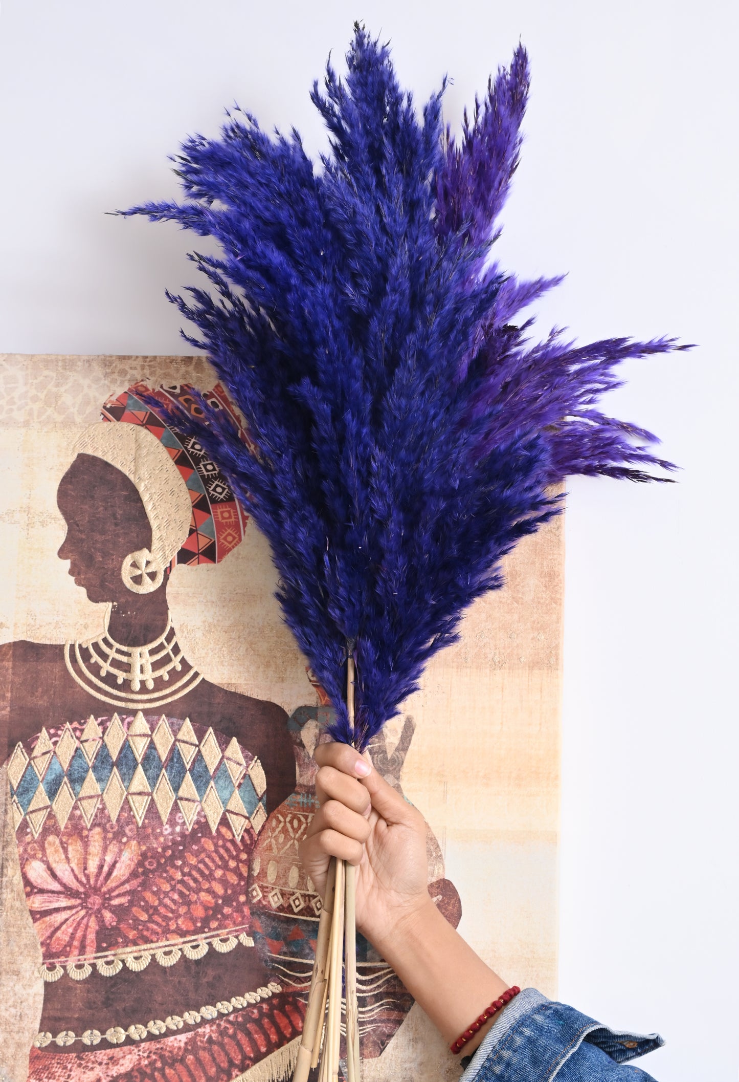 Purple Pampas (FD-05)