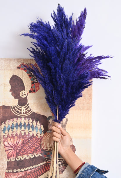 Purple Pampas (FD-05)