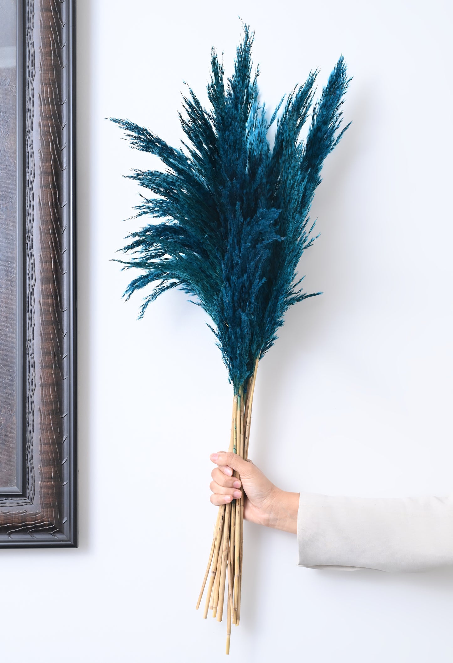 Blue Pampas (FD-05)