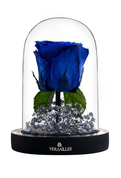 Brilliant Glow (DS-04 Blue)