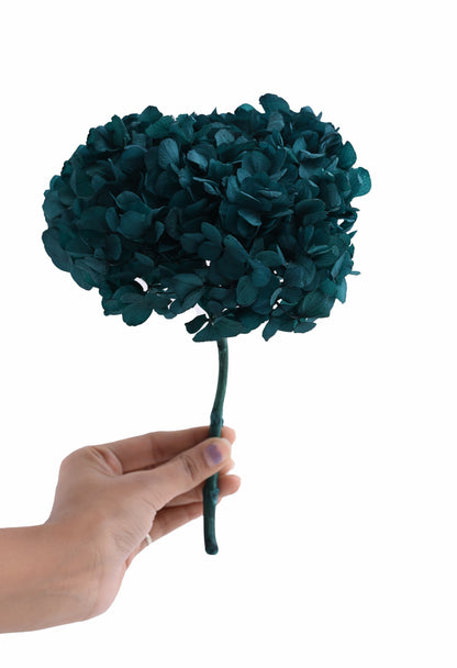 Hydrangea Blue (FS-07)