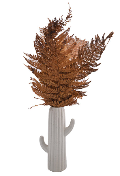 Leather Fern (FS-13)