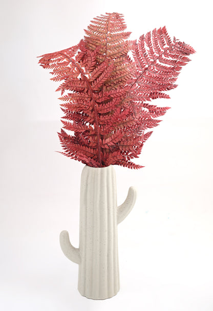 Leather Fern (FS-13)