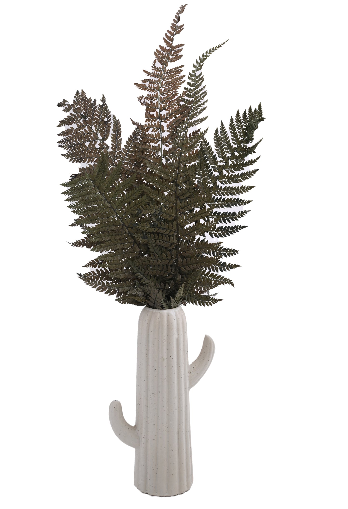 Leather Fern (FS-13)
